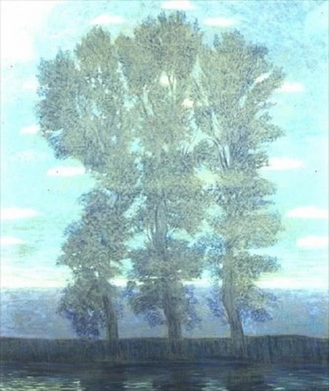 Alberi davanti a un lago